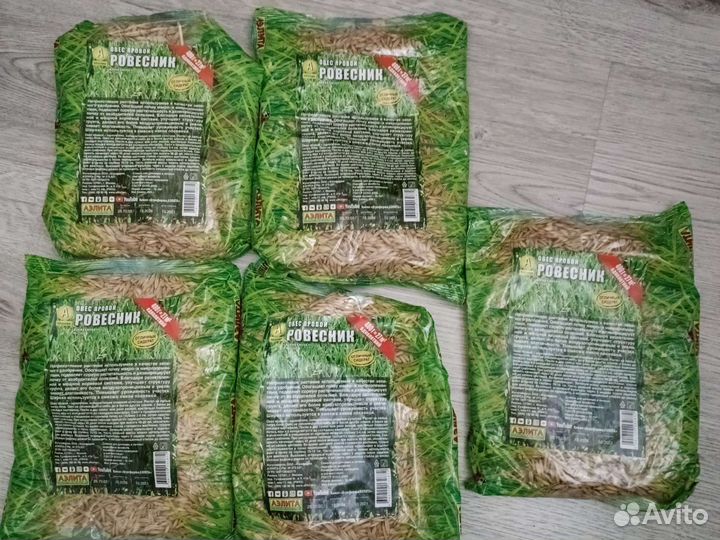 Овёс яровой