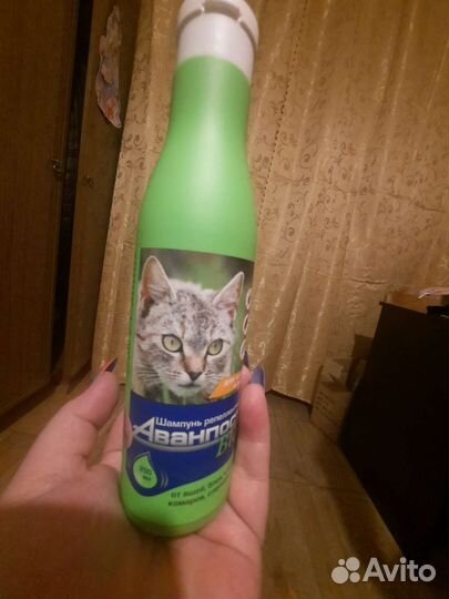 Лоток для кошек большой