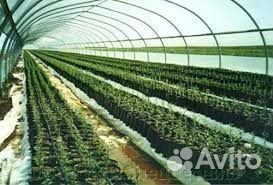 Пленка многолетняя для теплиц 200мкр с уф-стабилиз