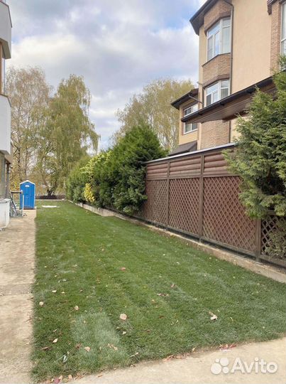 Рулонный газон 