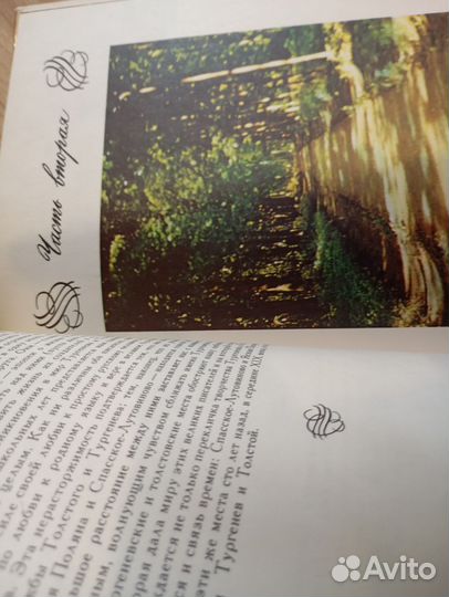 Середина столетия. И.Смольников