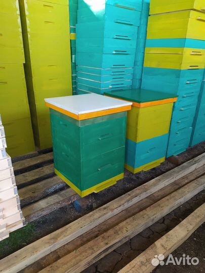 Улья Рамки на 2024