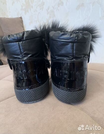 Луноходы abricot