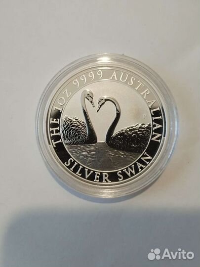 Лебедь 2022. Австралия. Серебро
