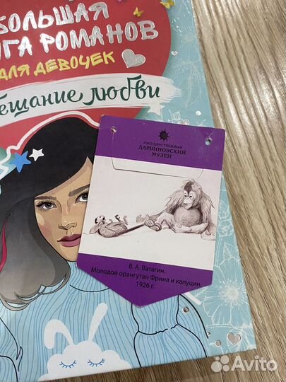 Книга для девочек