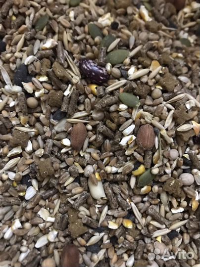 Корм для грызунов