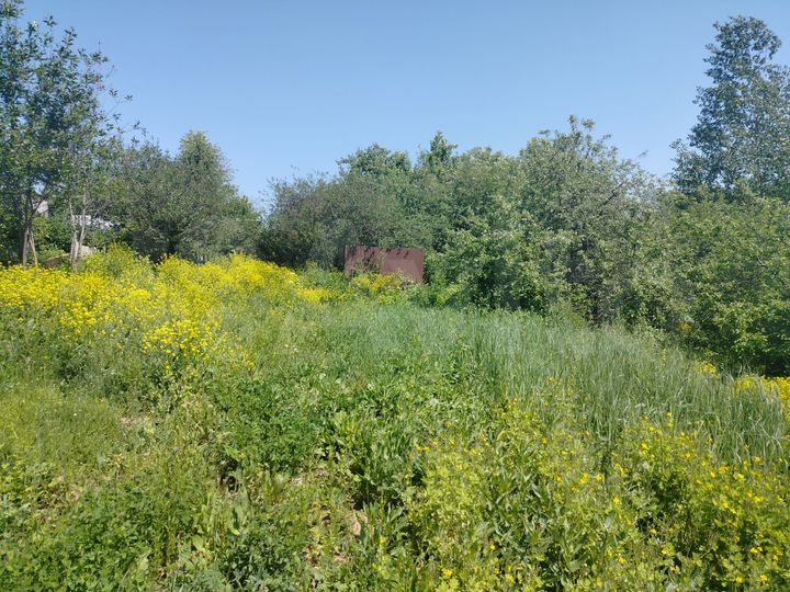 Участок 5 сот. (СНТ, ДНП)