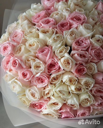 Пионовидные розы (Pin Ohara)