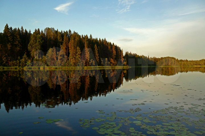 Участок 8 сот. (ИЖС)