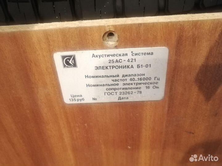 Колонка Электроника 25ас-421 корпус