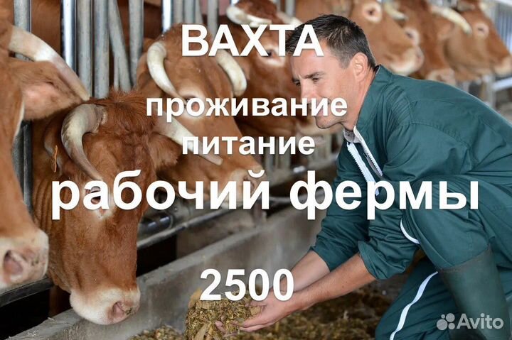 Работник фермы/вахта с проживанием и питанием