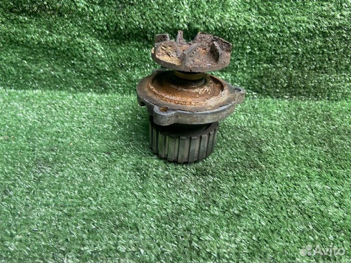 Помпа Заз Шанс