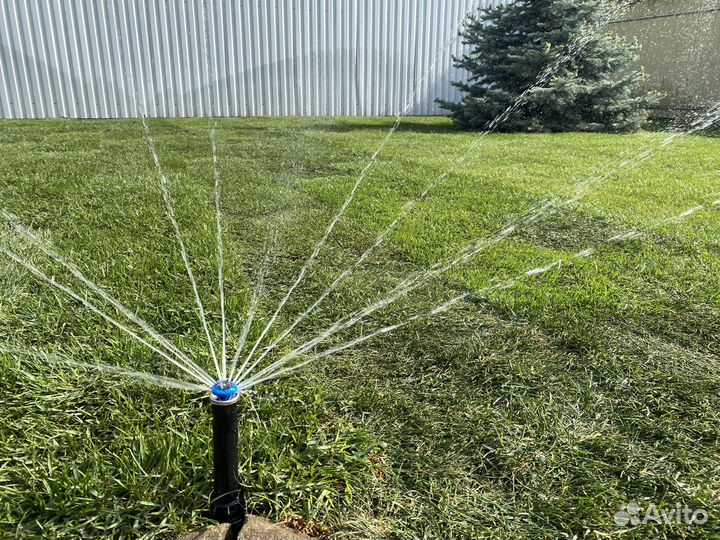 Газонная трава