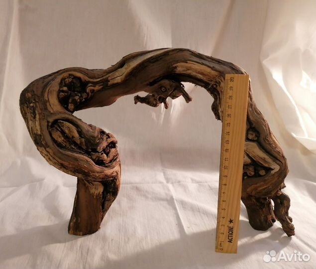 Взрослый маисовый полоз + террариум с наполнением