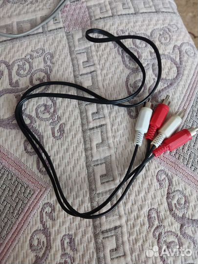 Тюльпаны провода