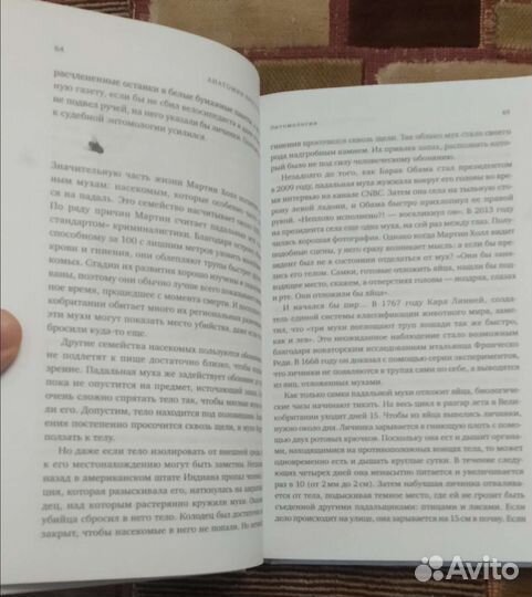 Анатомия преступления