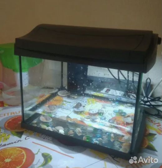 Аквариум tetra