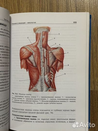 Анатомия человека Колесников Михайлов Чукбар