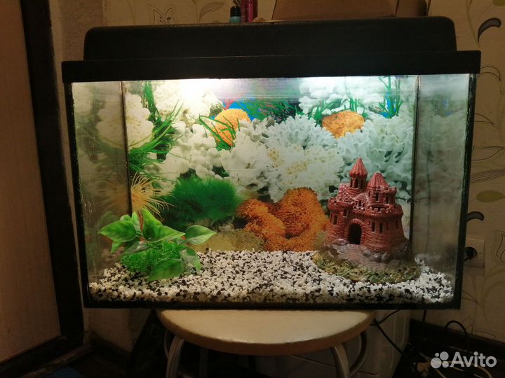 Аквариум