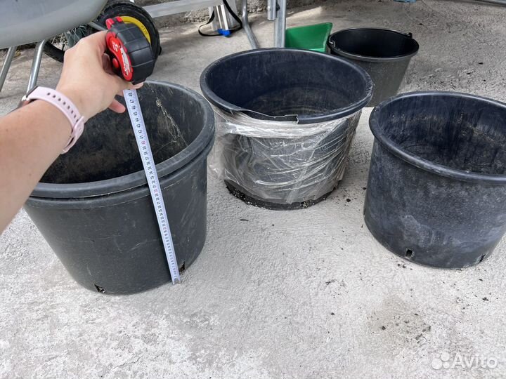 4 горшка для деревьев