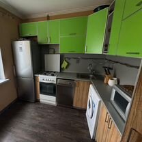 Mushukdan qulupnay yeydi