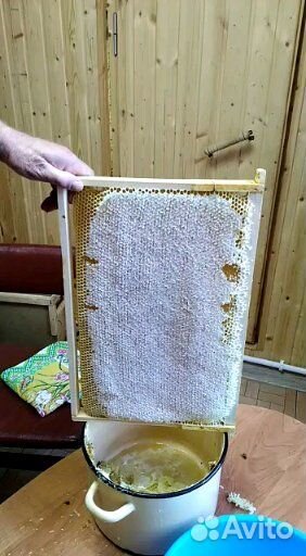 Пчелосемьи с ульями готовые к зимовке