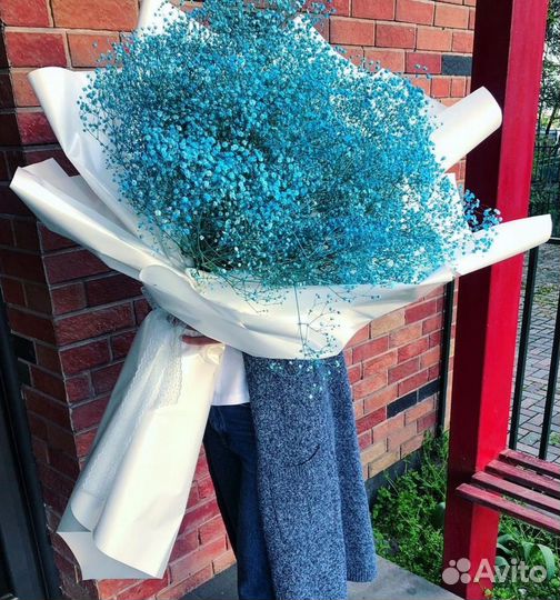 Букеты-Гиганты из Цветной Гипсофилы