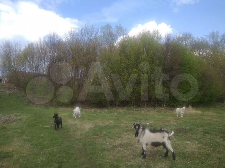 Дом 80 м² на участке 29 сот.