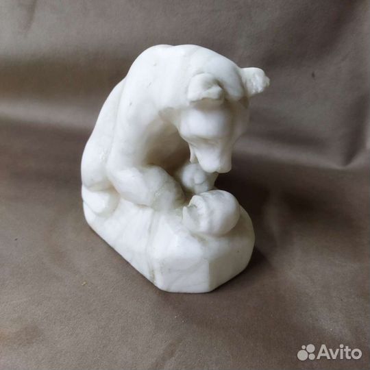 Мраморный медведь