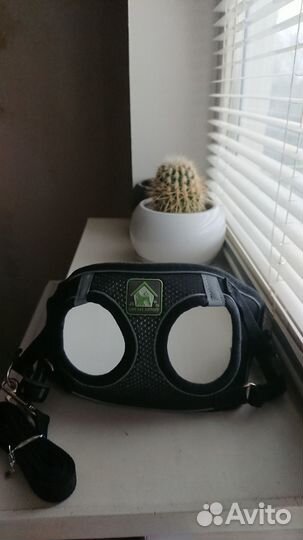 Комплект - жилет и поводок