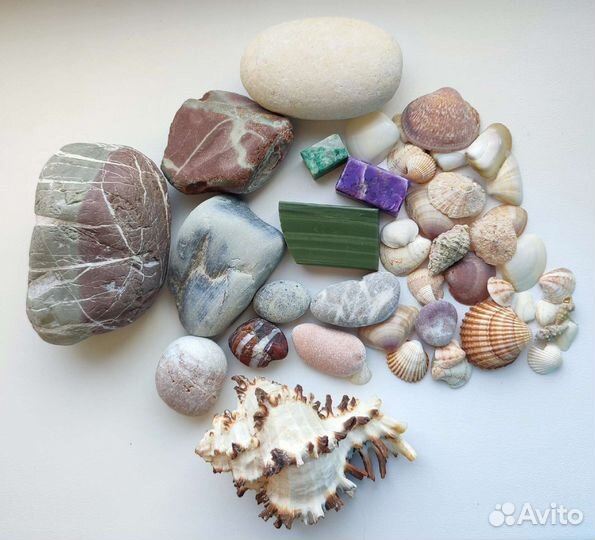 Камни и ракушки