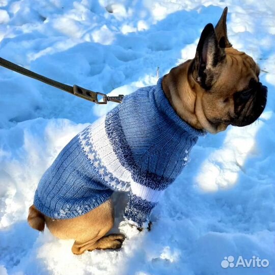 Одежда для собак и кошек