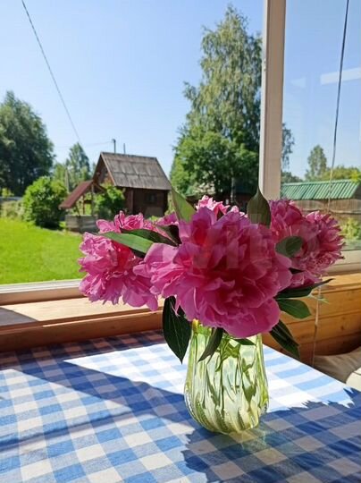 Дача 50 м² на участке 14 сот.