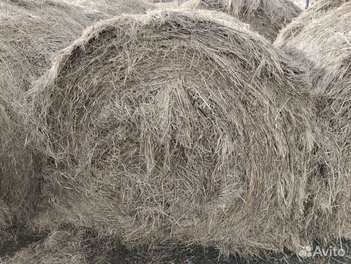 Луговое сено в тюках