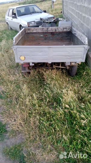 Продам муравей