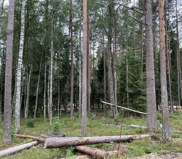 Участок 12,6 сот. (ИЖС)