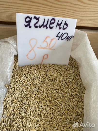 Пшеница, ячмень, кукуруза, горох, овес, семечка