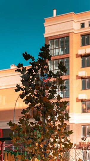 1-к. квартира, 37,3 м², 2/9 эт.