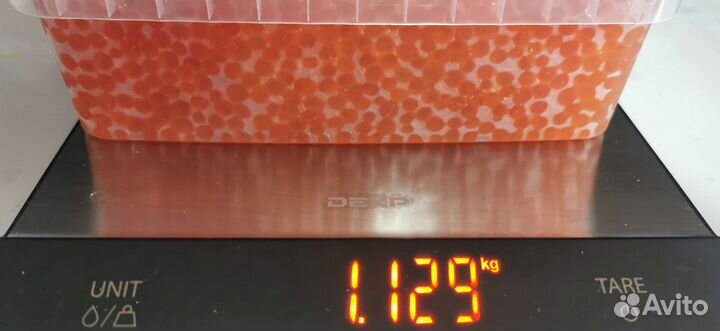 Икра кеты без септика 2023