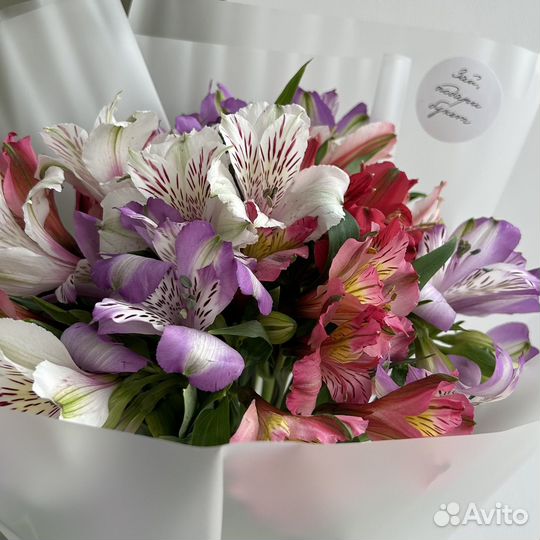 Альстромерии микс букет