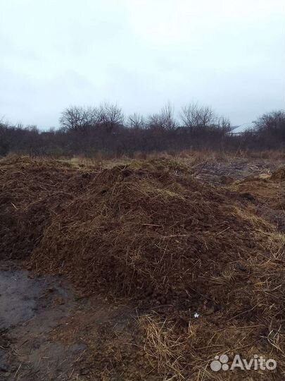 Навоз конский бесплатно и в мешках