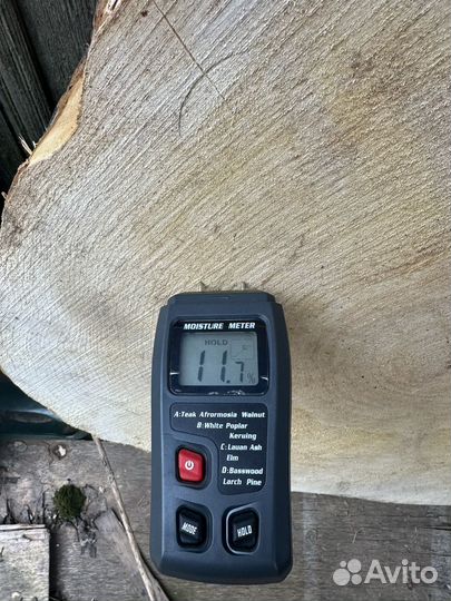 Слэб дерева и спилы