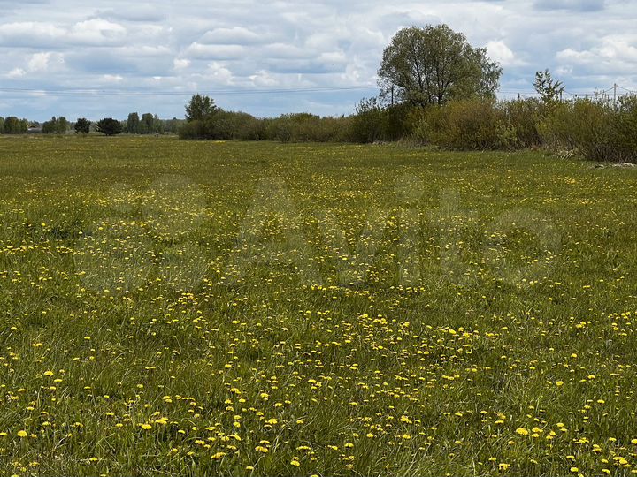 Участок 15 сот. (ИЖС)