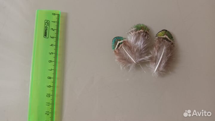 Перо павлина mini