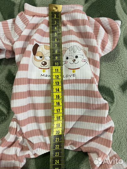 Одежда для животных