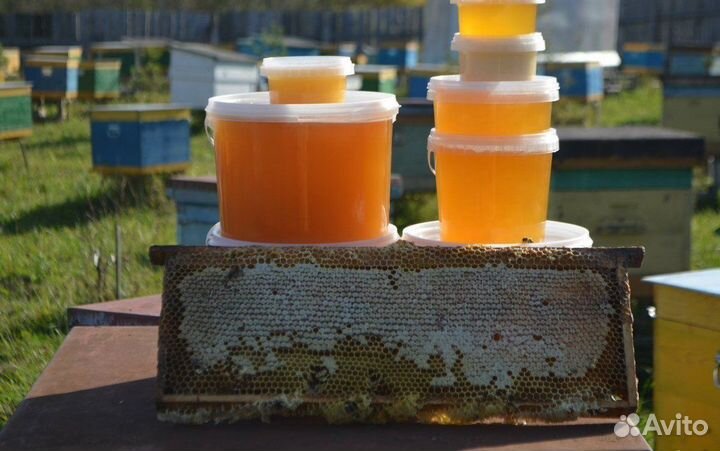Натуральный мед оптом своя пасека