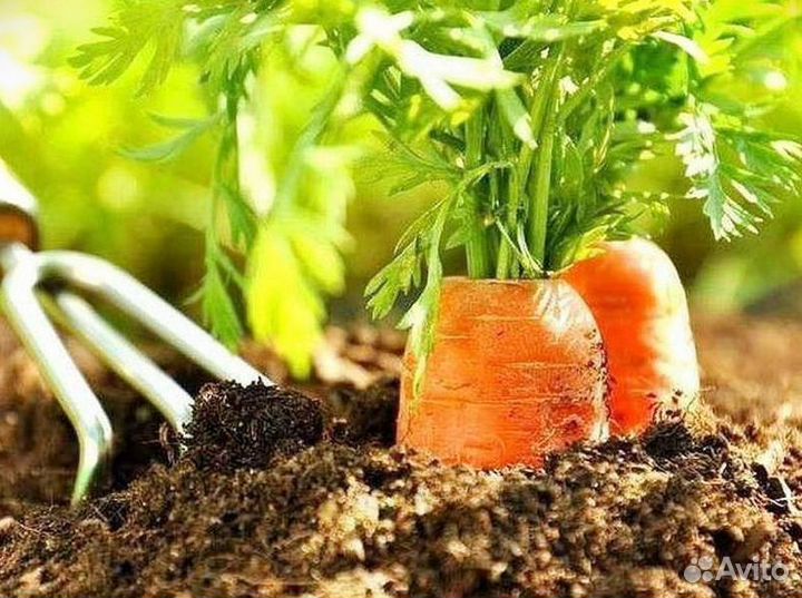 Грунт растительный