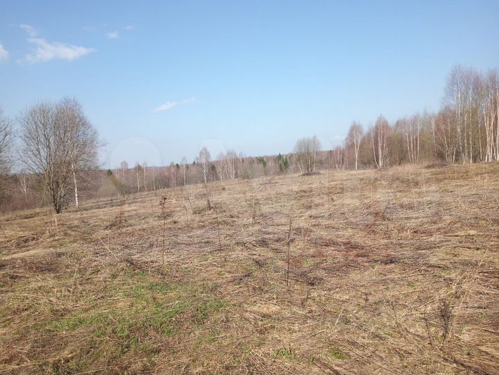 Участок 10 га (СНТ, ДНП)