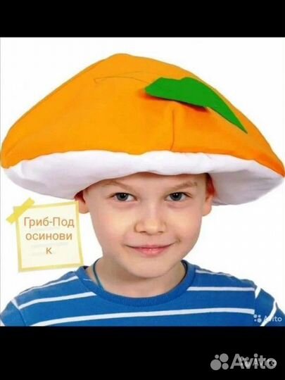 Шапочки грибов