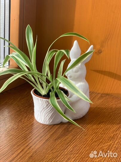 Печать на 3d принтере